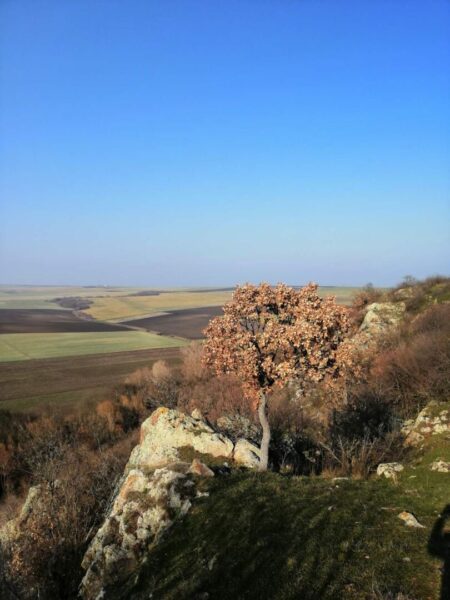 Природата в Бургаска област